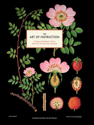 cover image of The Art of Instruction